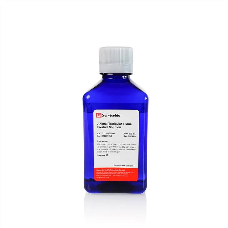 Animal Testicular Tissue Fixative Solution