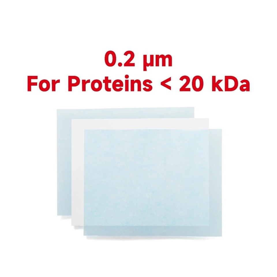 PVDF2