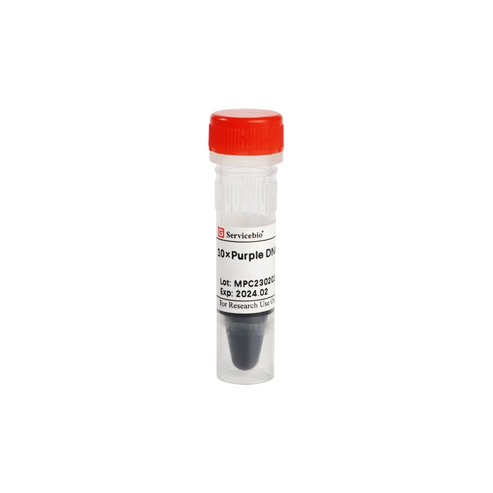 10×Purple DNA Loading Buffer