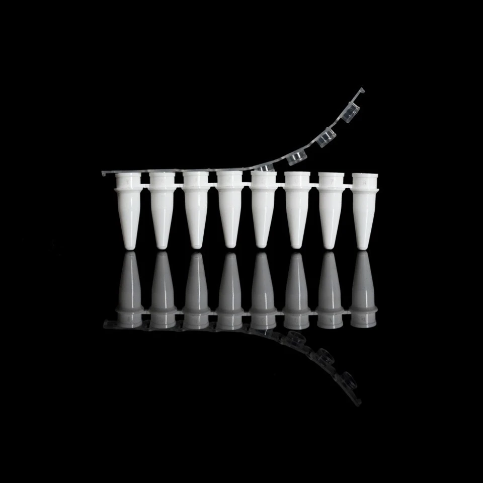 PCR Tube (2)