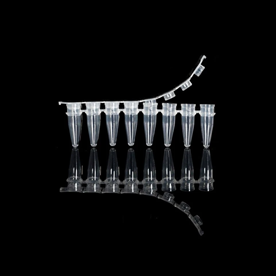 PCR Tube (4)