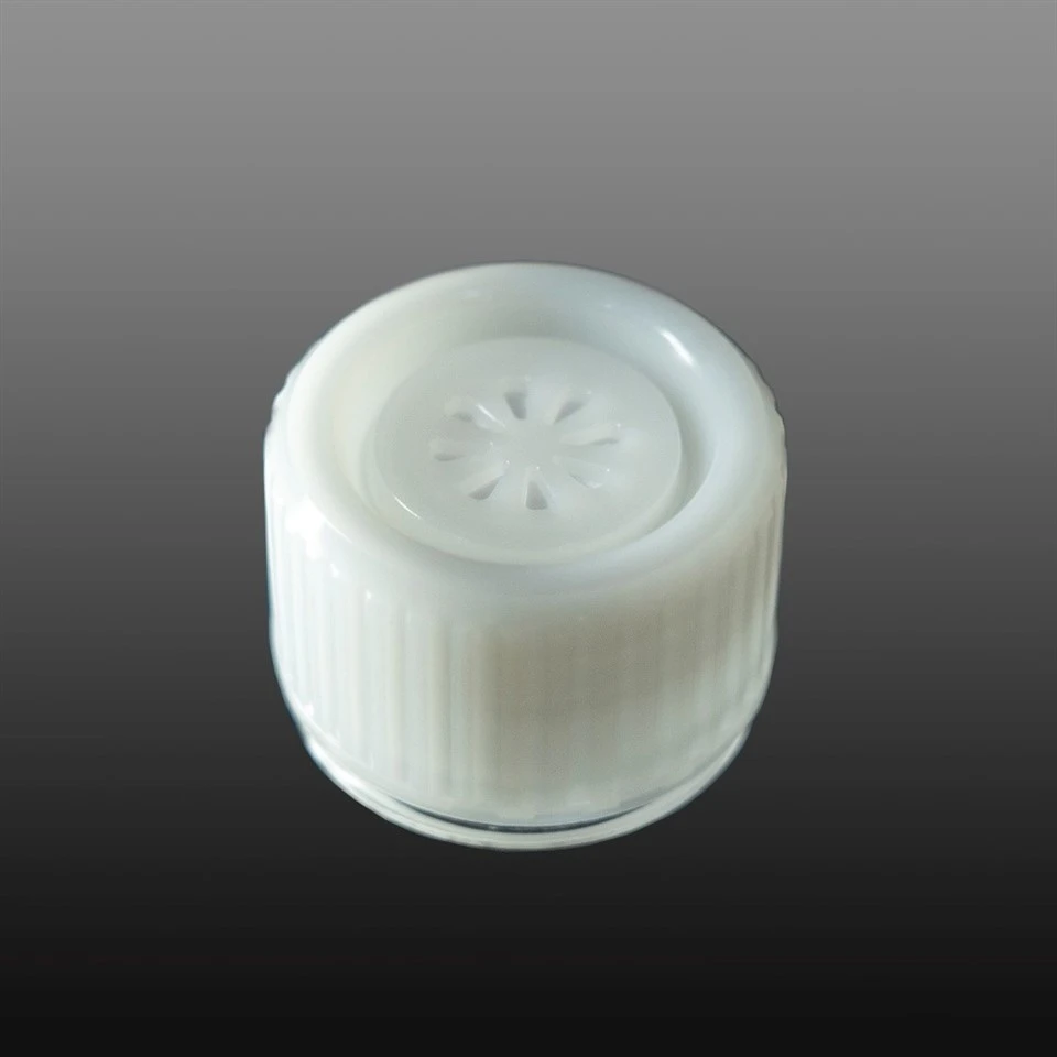 250 mL Erlenmeyer Flask (2)