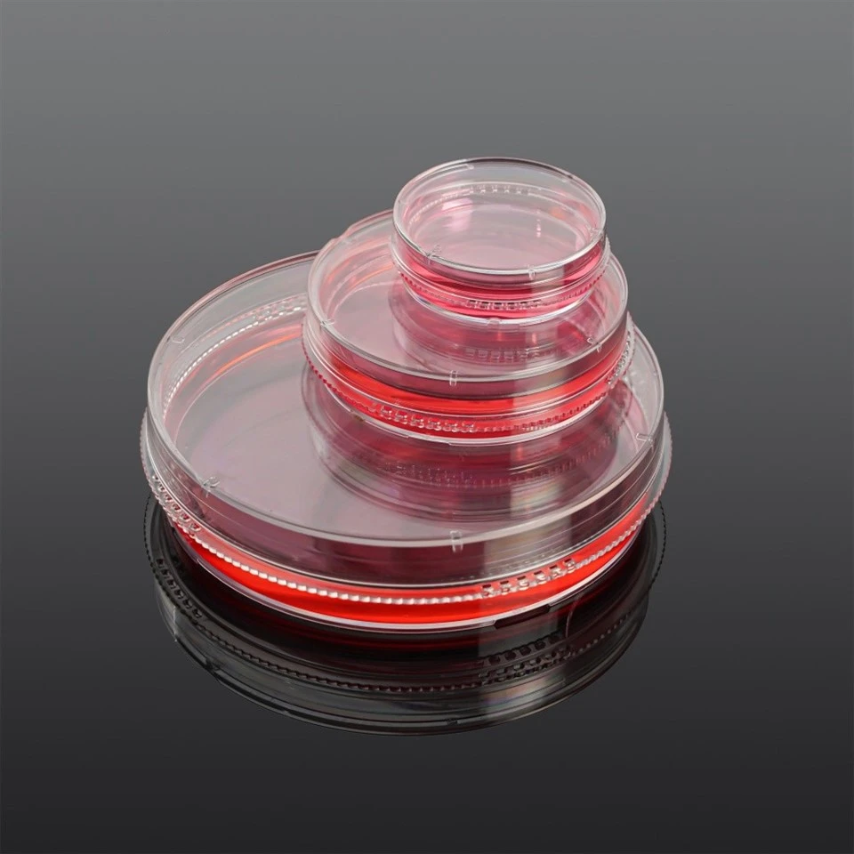 35 mm Cell Culture Dish (4)