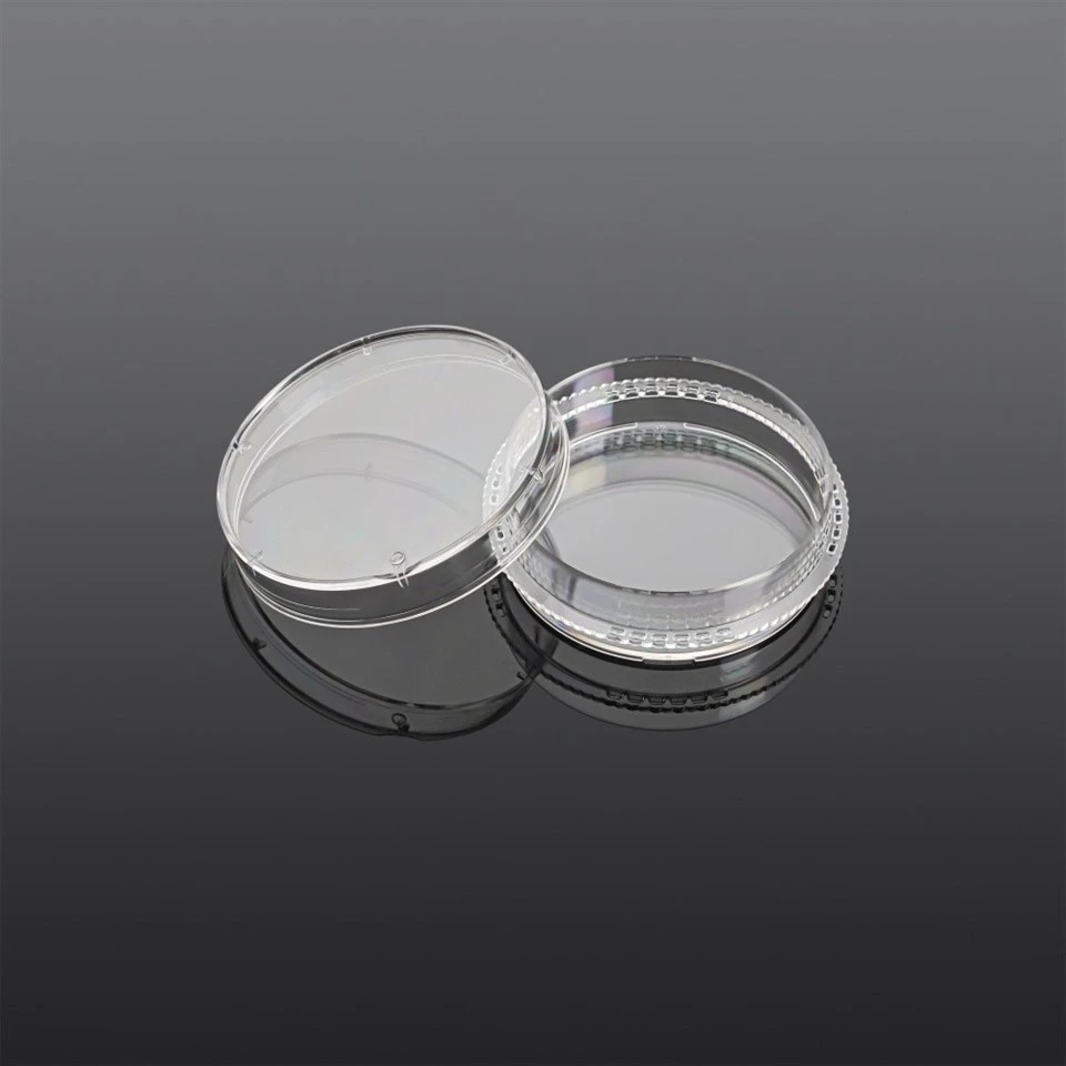35 mm Cell Culture Dish (3)