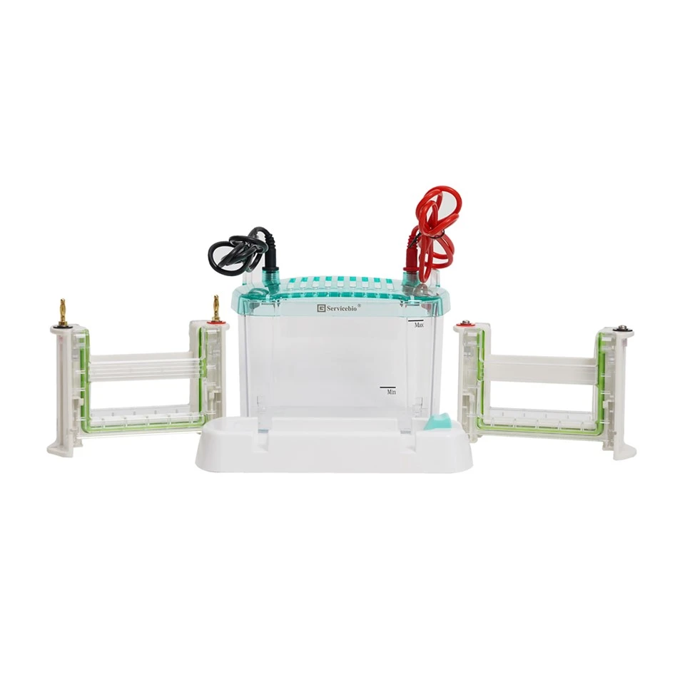 4-Gel Vertical Electrophoresis System