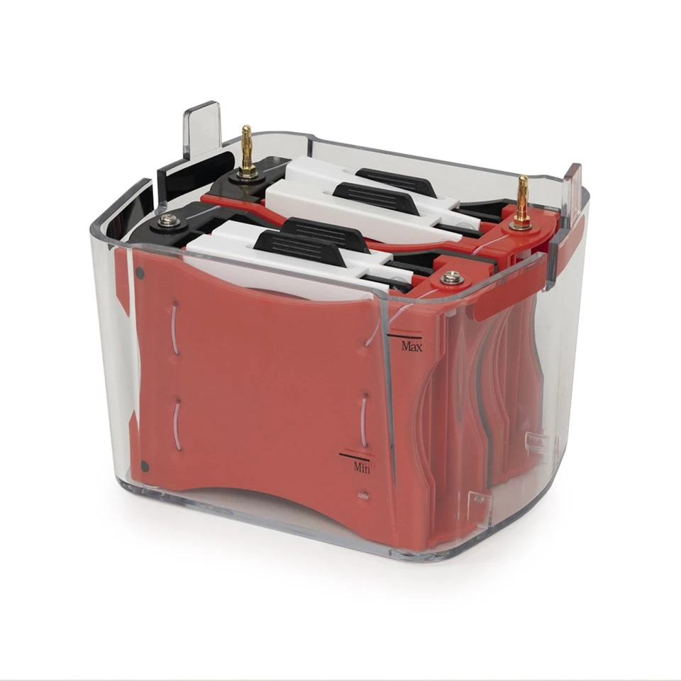 4-membrane Transfer Electrophoresis System