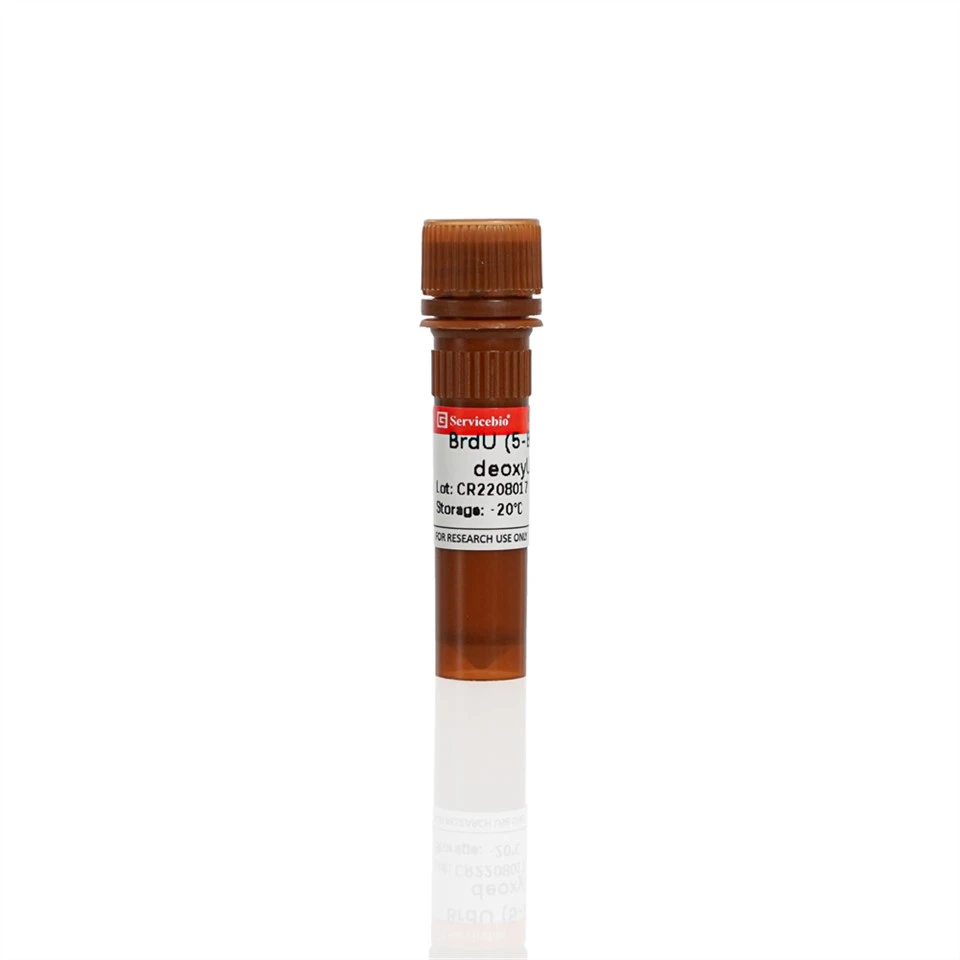 5-bromo-2'-deoxyuridine (BrdU)