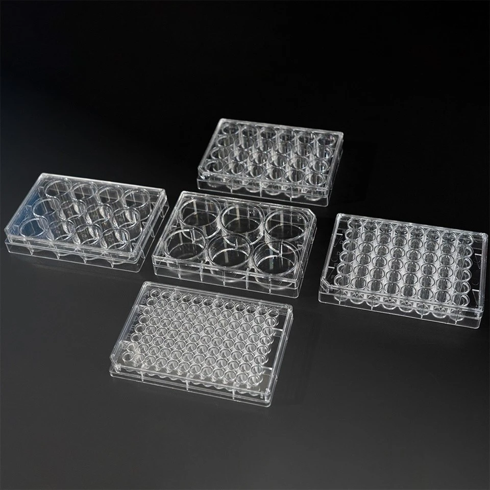 96 well Cell Culture Plate (4)