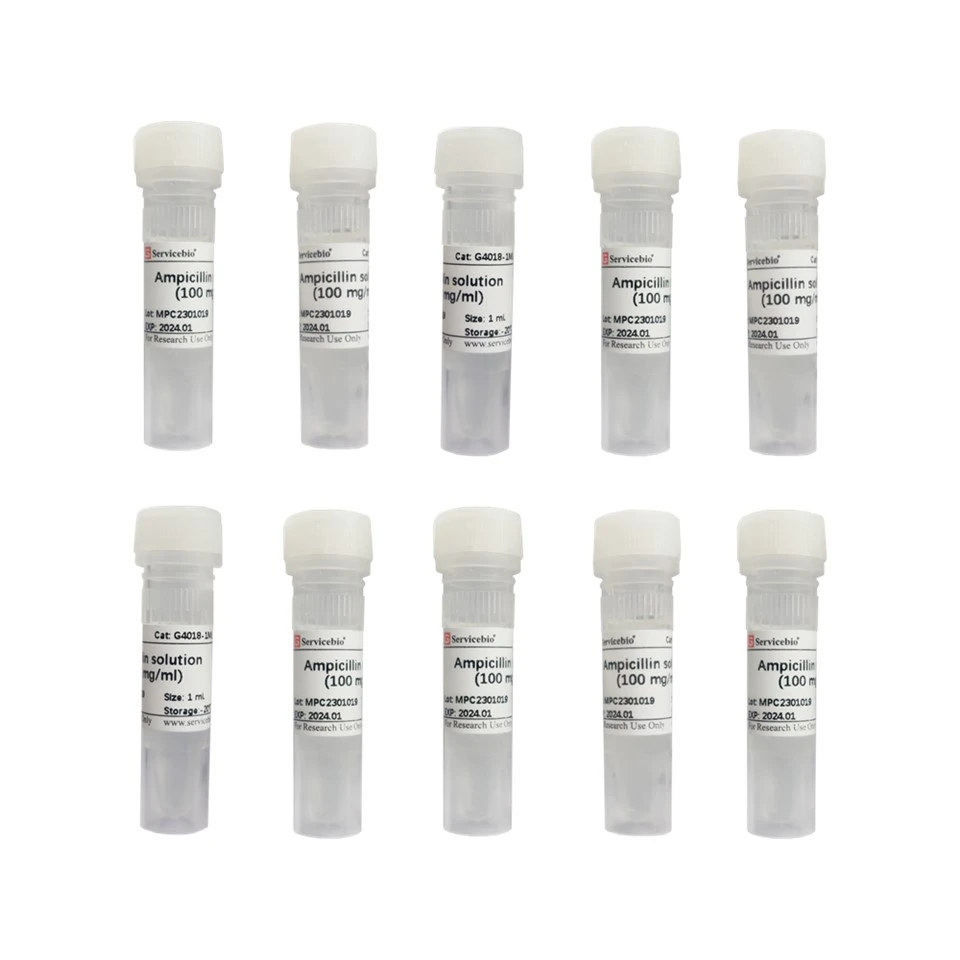 Ampicillin Solution (100mg/mL)