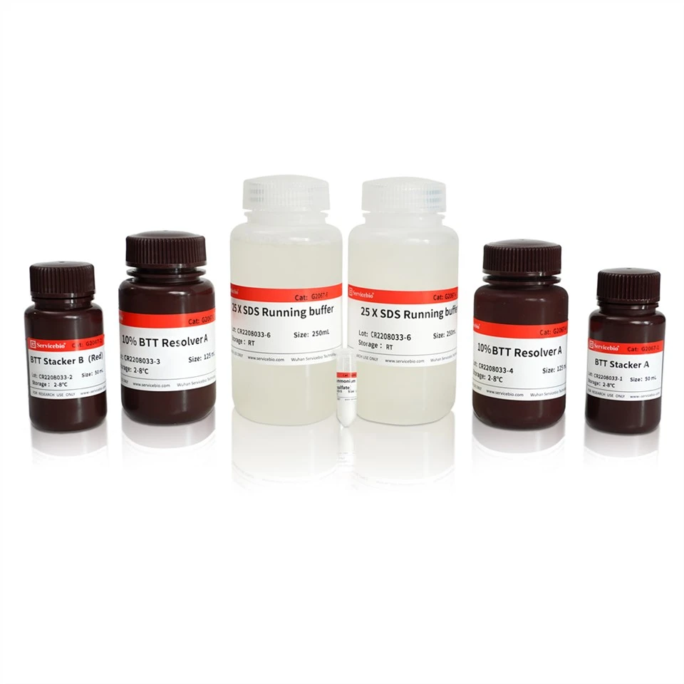BTT Fast-Cast Colorful (Red) Acrylamide Kit,10%