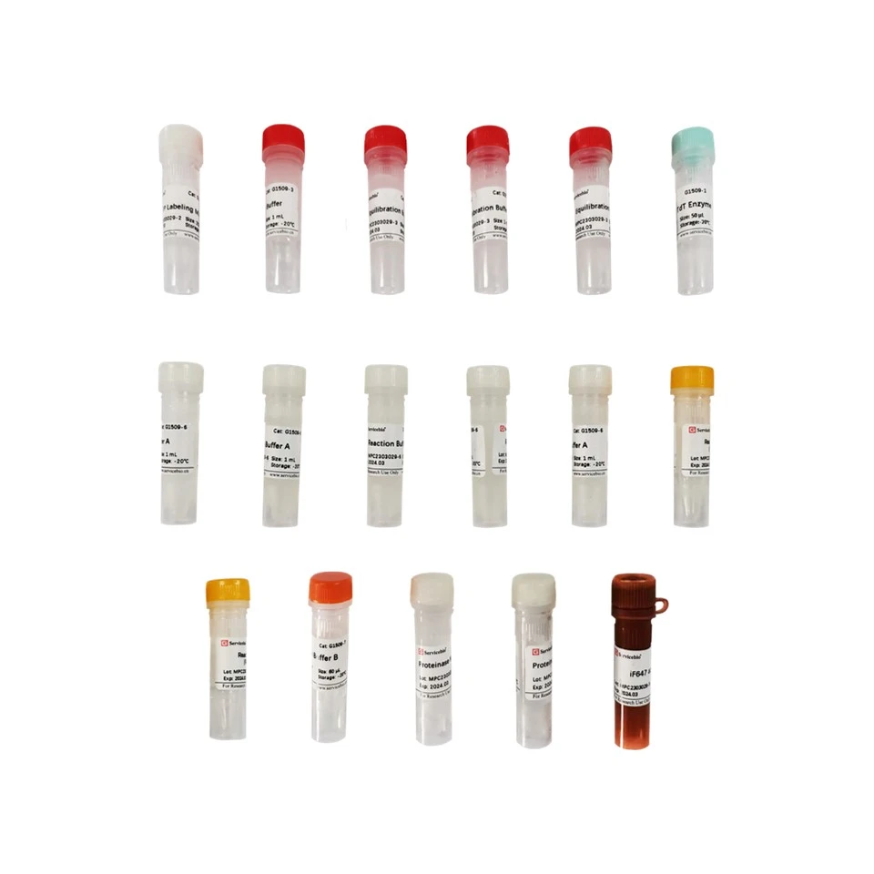 Click-iT 647 Tunel Cell Apoptosis Detection Kit