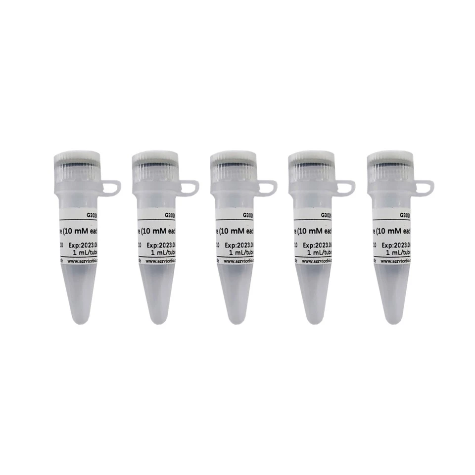 DNTP Mixture (10 MM Each)