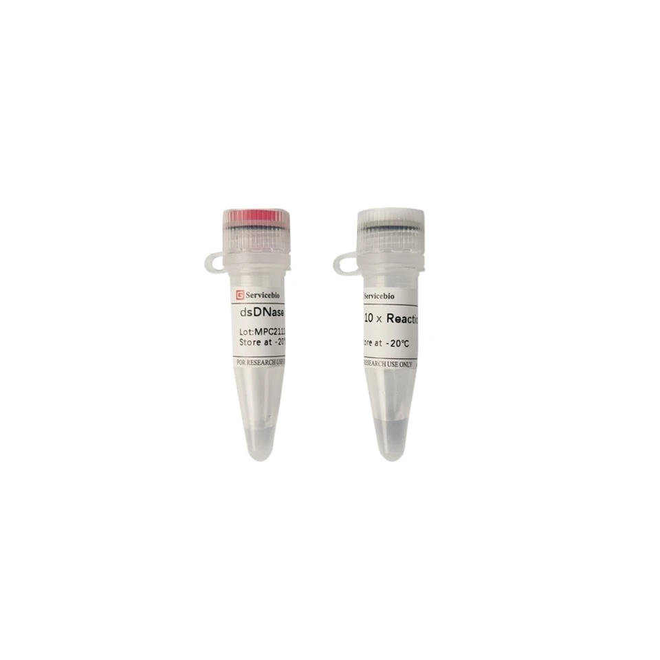 DsDNase (Thermolabile)