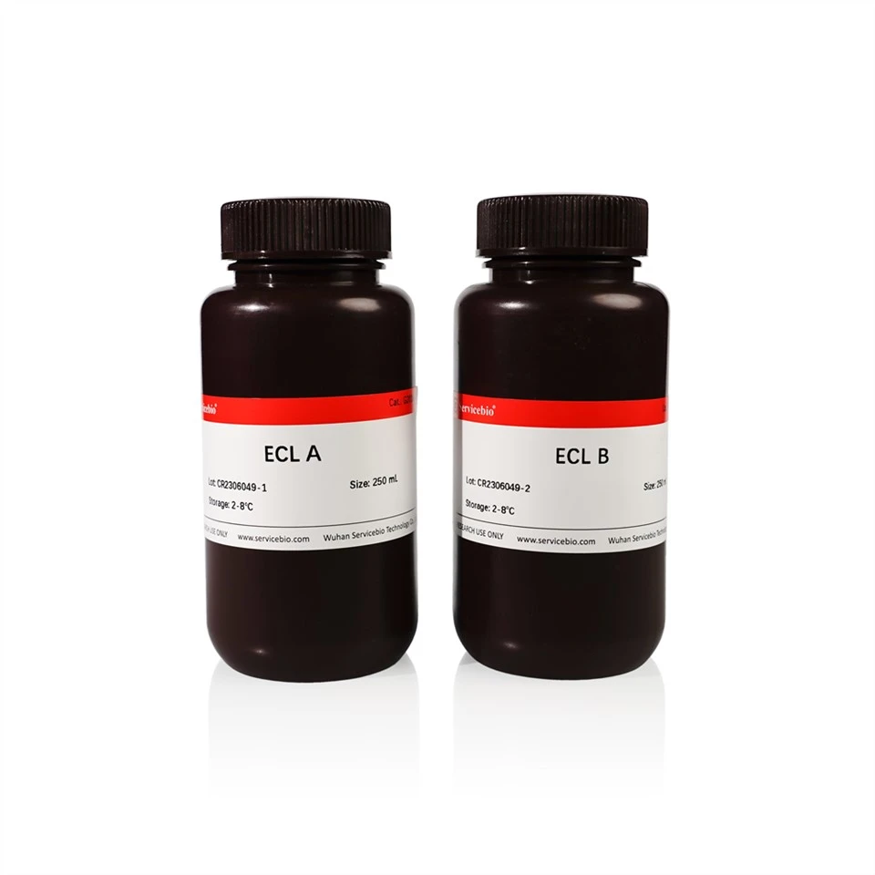 ECL Chemiluminescence Kit （NG)
