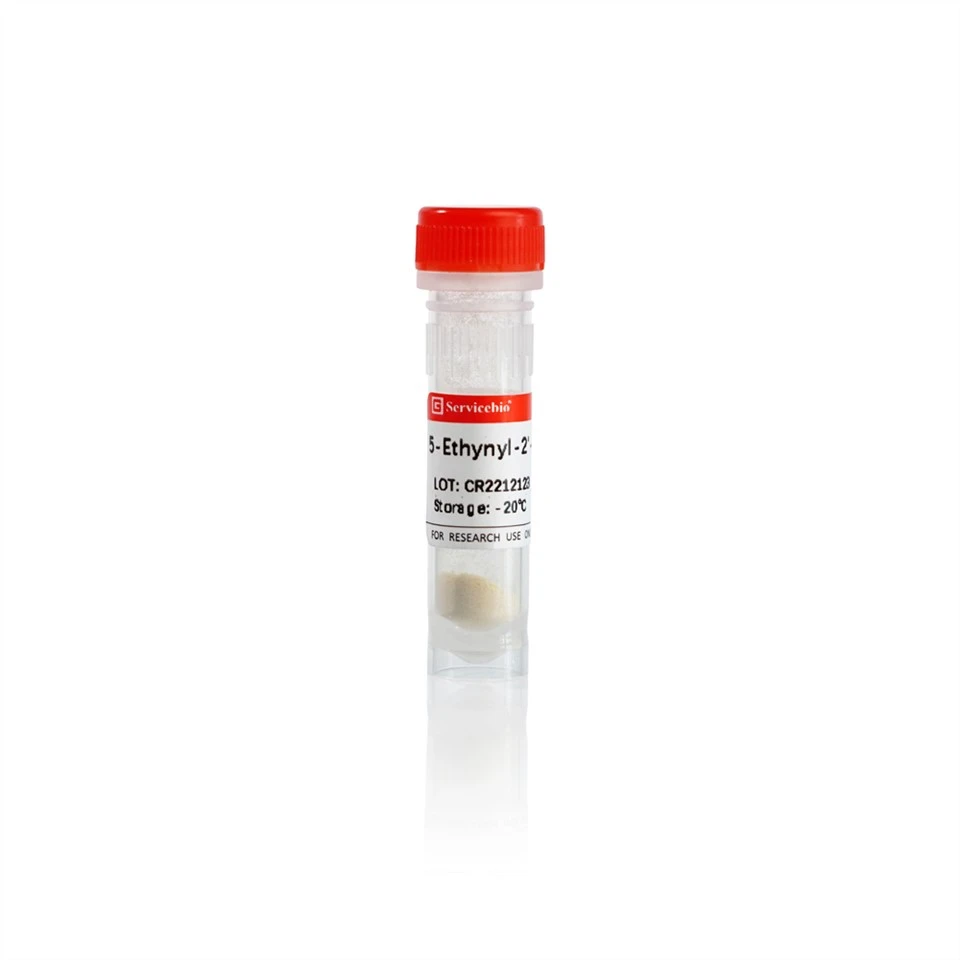 EdU (5-Ethyl-2′-deoxyuridine)