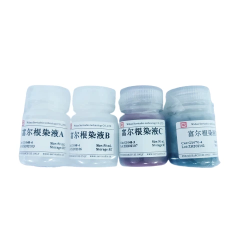 Feulgen Stain Kit
