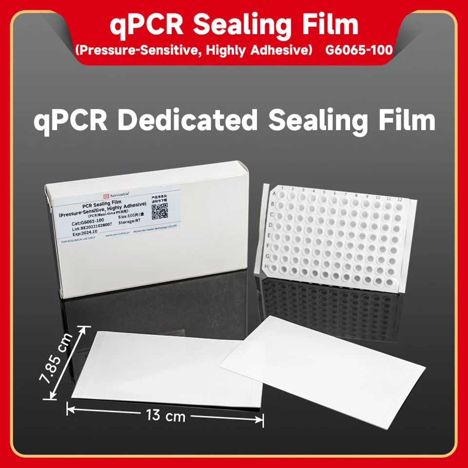 Fluorescence Quantitative PCR Sealing Film (Pressure-Sensitive, Highly Adhesive)