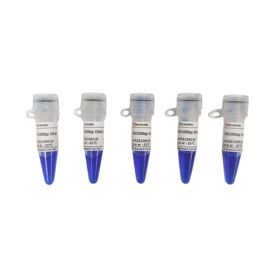 GN100bp DNA Ladder III