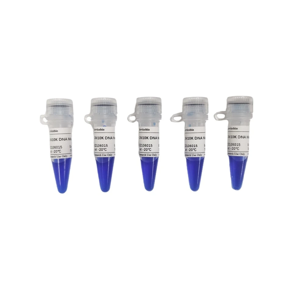 GN10K DNA Marker