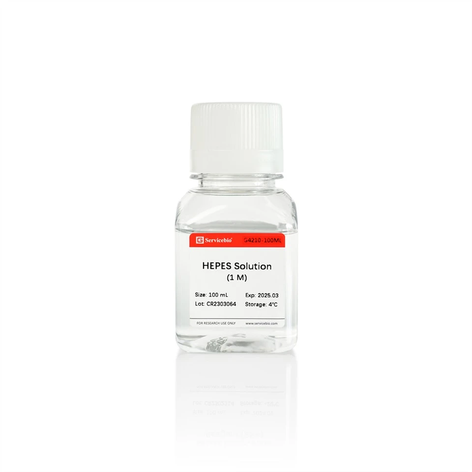 HEPES Solution (1 M)