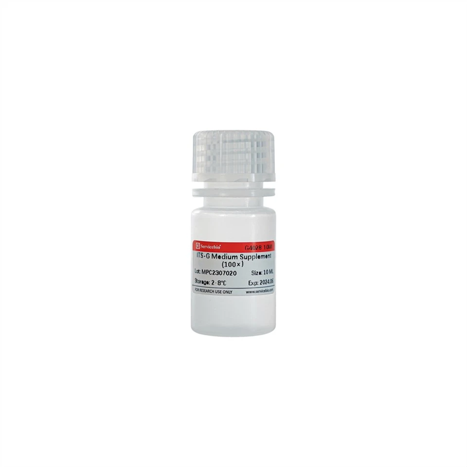 ITS-G Medium Supplement (100×)