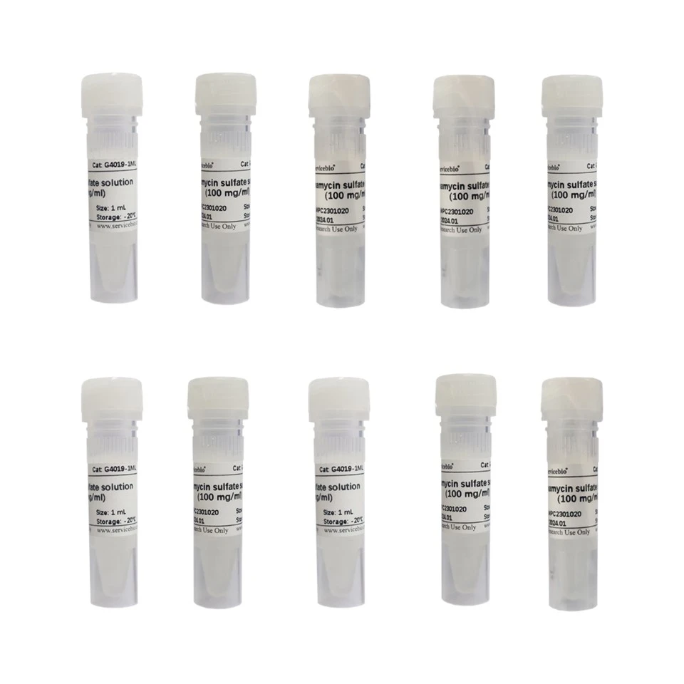 Kanamycin Sulfate Solution (100mg/mL)