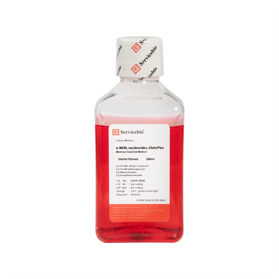 α-MEM, Nucleosides, GlutaPlus