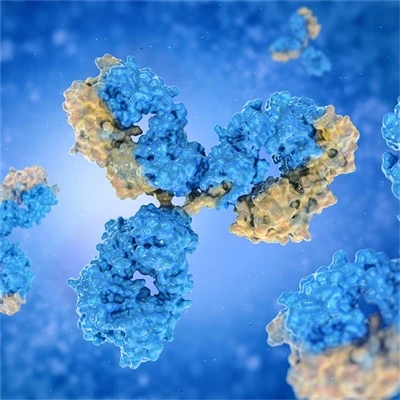 NEW ARRIVAL - Servicebio Self-developed Direct-Labeling Antibody!