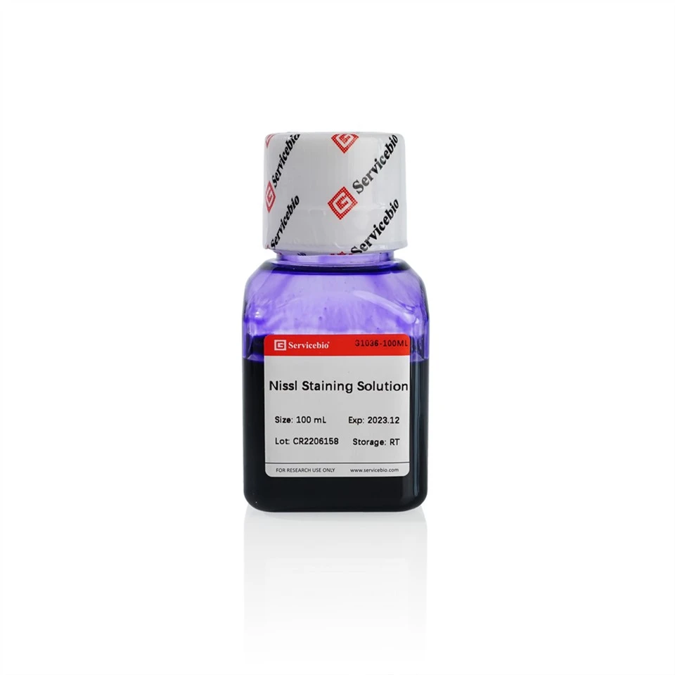 Nissl Stain Solution