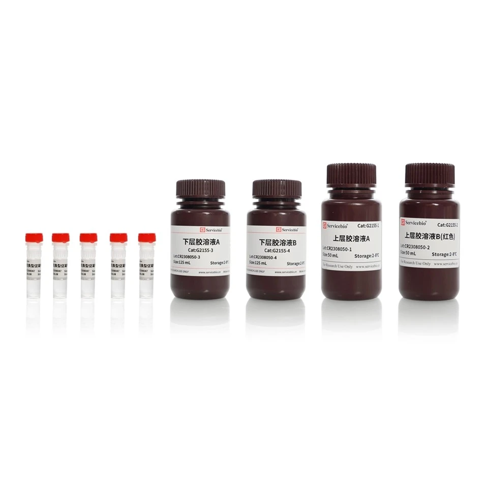 PAGE Colour (Red) Gel Cast Kit (High Molecular Protein Separation)
