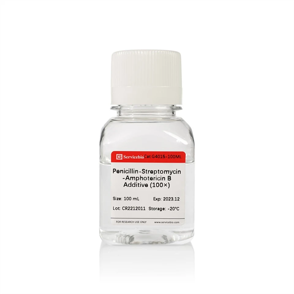 Penicillin-Streptomycin-Amphotericin B Additive (100×)