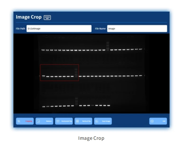 imagepng 5 imagepng 5
