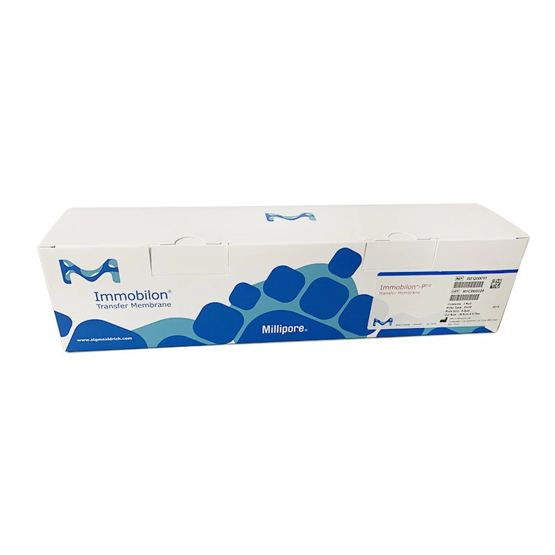 PVDF Membrane (0.2μm)