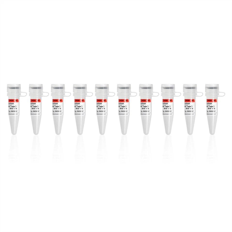 RNA Lysis Solution (RNase Inactivated Type)