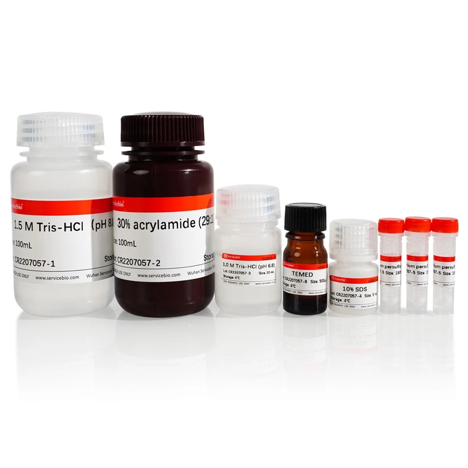 SDS-PAGE Gel Preparation Kit