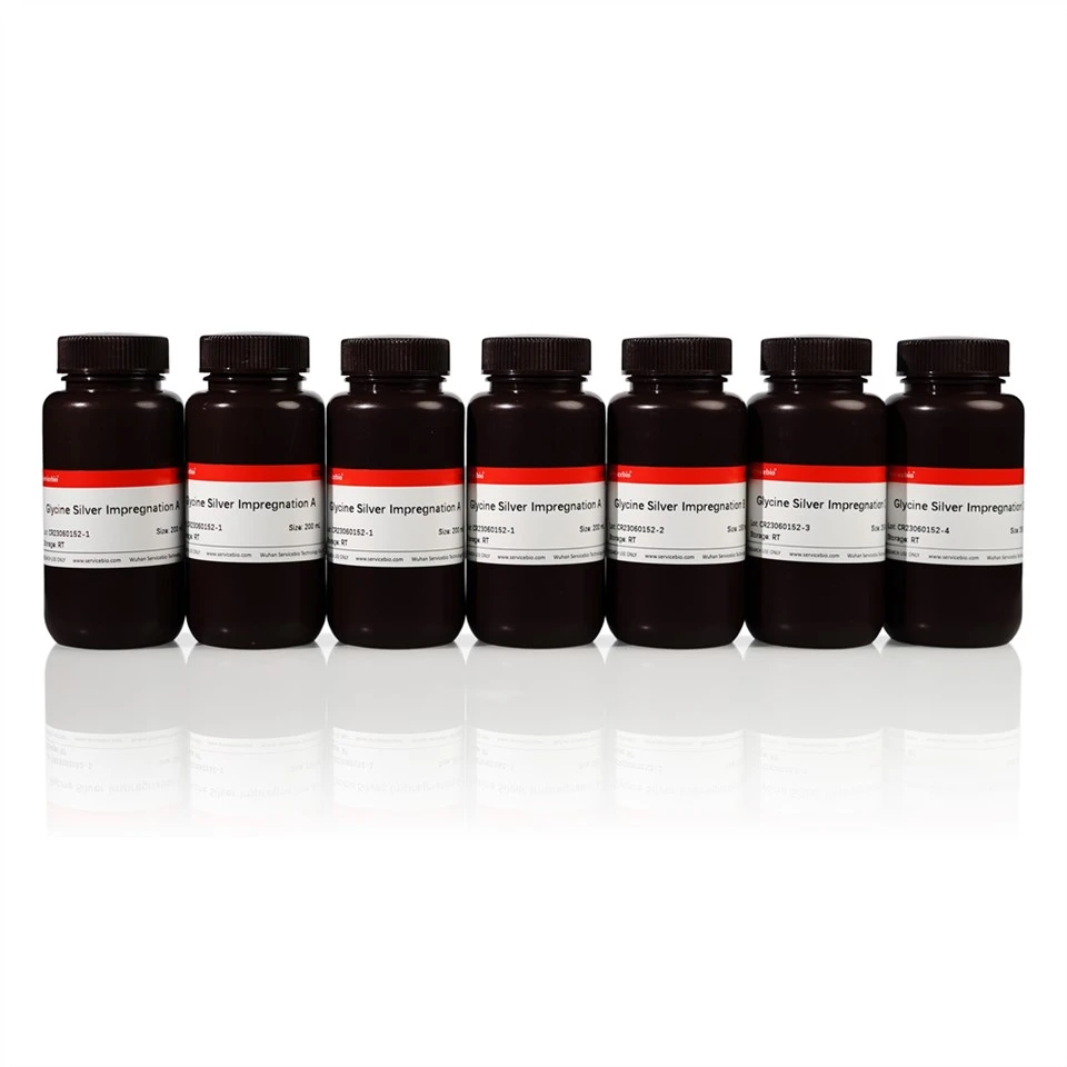 Silver Glycine Staining Kit
