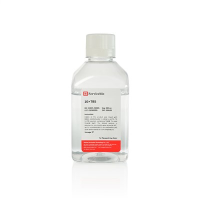 10×TBS Buffer Solution