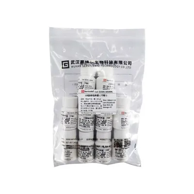 LB Agar, Powder