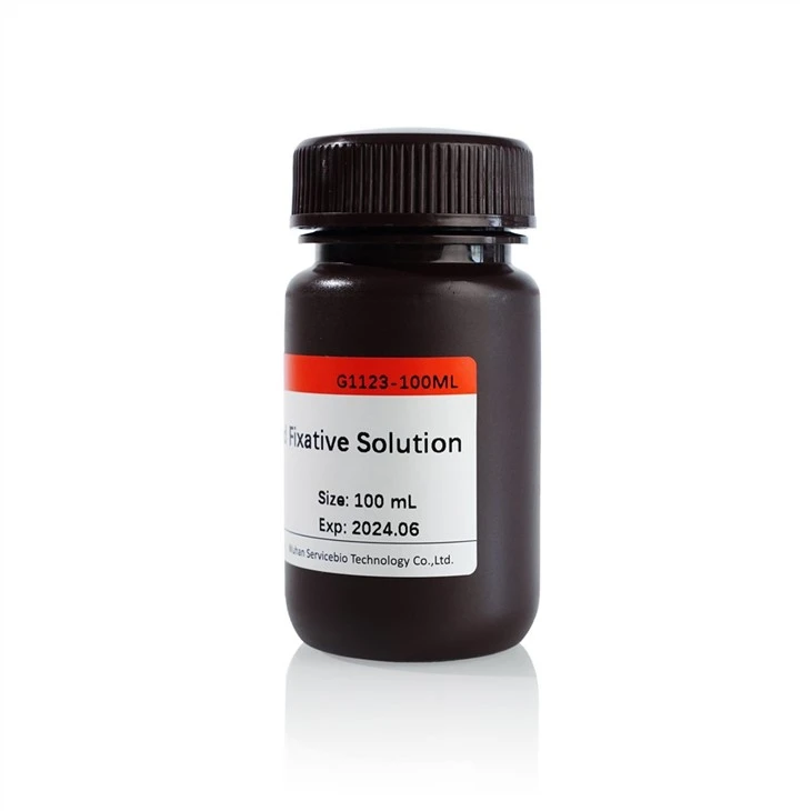 Special Fixative Solution for Dense Tissue