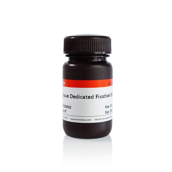 Special Fixative Solution for Dense Tissue