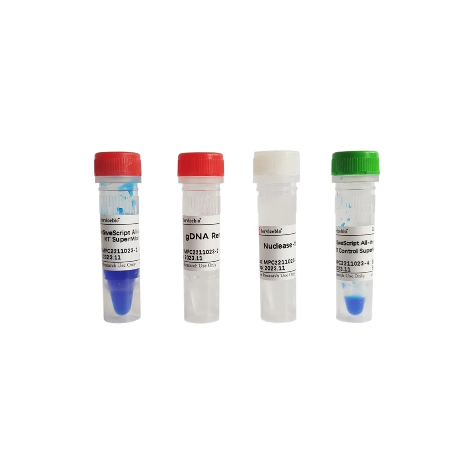 SweScript All-in-One Blue RT SuperMix For QPCR (One-Step GDNA Remover)