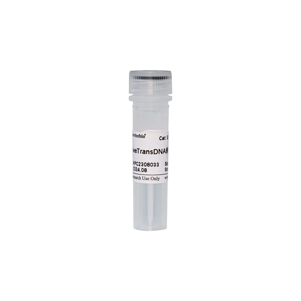 SweTransDNA Transfection Reagent