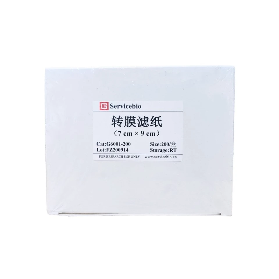 Transfer Membrane Filter Paper (Thick)