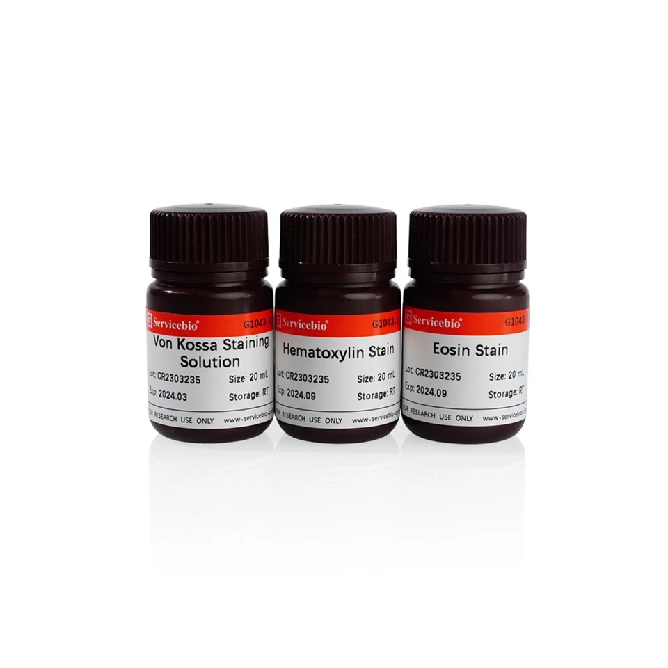 Von Kossa Staining Solution