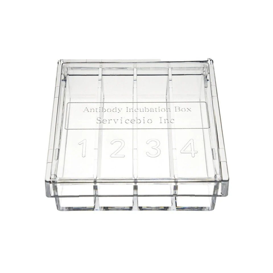 WB Antibody Incubation Box (6)