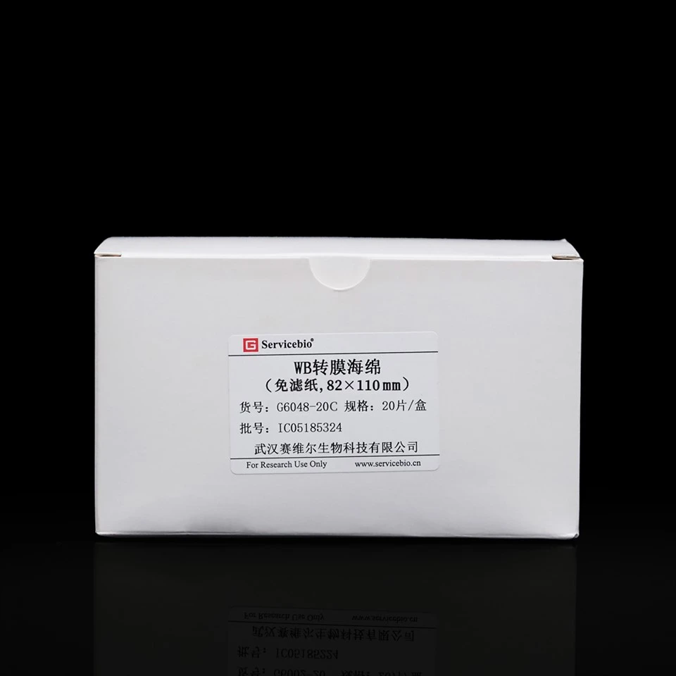 WB Transfer Sponge (Filter Paper-Free，82×110mm）